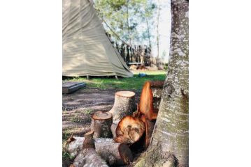 Forest Harmony Campsite, Knysna - 5