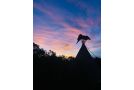 Forest Harmony Campsite, Knysna - thumb 2