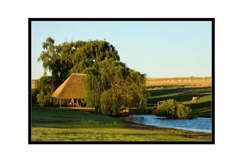 Francolin Creek Guest house, Heilbron - imaginea 19