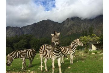 Franschhoek Country Cottages Hotel, Franschhoek - 2