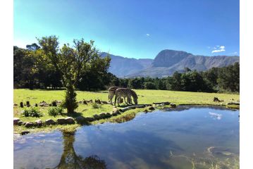 Franschhoek Country Cottages Hotel, Franschhoek - 5