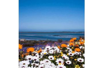 Langebaan Golf Studio A1 - Langebaan Golf Estate Apartment, Langebaan - 4