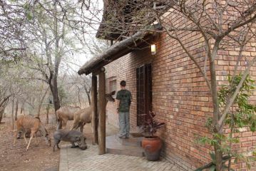 Hakuna Matata Guest house, Marloth Park - 1
