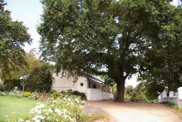 Hartebeeskraal Selfcatering cottage Farm stay, Paarl - 1
