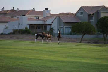 Haye Guest house, Langebaan - 1
