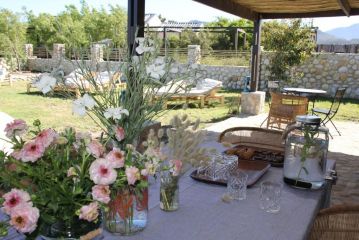 The Farmstead Farm stay, Franschhoek - 4