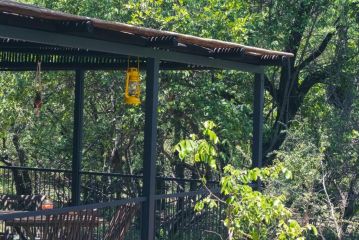 Hello Kruger Hideaway Cottage Apartment, Marloth Park - 1