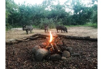 Hello Kruger Hideaway Cottage Apartment, Marloth Park - 5