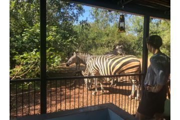 Hello Kruger Hideaway Cottage Apartment, Marloth Park - 3