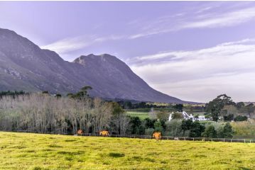 Hemel 'N Aarde Stud Guest house, Hermanus - 1