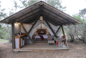 Heritage Glamping, Woodlands tent Campsite, Wilderness - 2