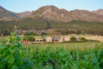 Heuwelsig Cottages Farm stay, Franschhoek - 1