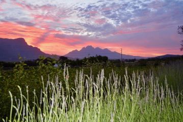 Heuwelsig Cottages Farm stay, Franschhoek - 4