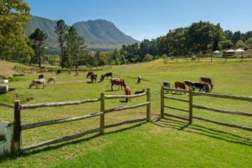 High Season Farm Luxury Cottages Farm stay, Hermanus - 4