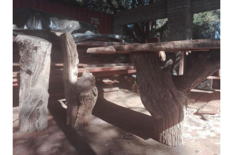 Hippo Retreat & Tiger Fishing Komatipoort Guest house, Komatipoort - imaginea 11