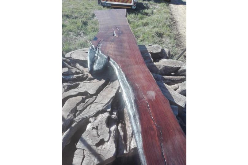 Hippo Retreat & Tiger Fishing Komatipoort Guest house, Komatipoort - imaginea 17