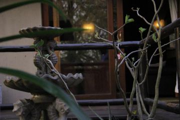 Hoedspruit Raptors Lodge N16 Chalet, Hoedspruit - 5