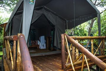 HomeBase Kruger Hostel, Marloth Park - 1