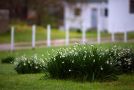 Honeyrock Cottages Hotel, Kleinmond - thumb 20