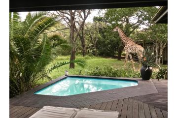 Imani Bush House & Silver Sky Villa, Hluhluwe - 3