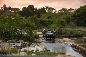 Inyati Game Lodge Hotel, Sabi Sand Game Reserve - 4