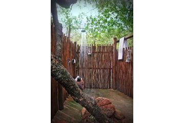 Itaga Luxury Private Game Lodge Hotel, Bela-Bela - 4