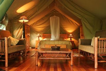 Jackalberry Ridge by Dream Resorts Campsite, Marloth Park - 2