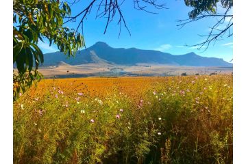 Jovali Clarens Guest house, Clarens - 4