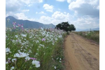 Jovali Clarens Guest house, Clarens - 3