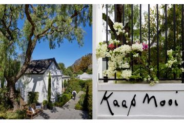 Kaap Mooi Luxury Guest house, Cape Town - 4