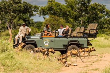 Kambaku Safari Lodge Hotel, Timbavati Game Reserve - 2