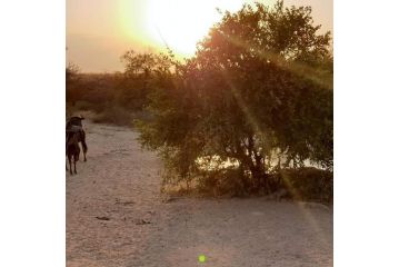 Kelora Bush Camp Campsite, Hoedspruit - 4