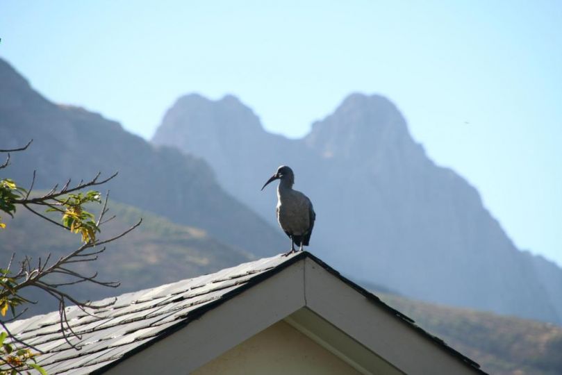 Keren's Vine Guesthouse Guest house, Stellenbosch - imaginea 8