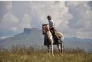 Khotso Lodge & Horse Trails Farm stay, Underberg - thumb 18