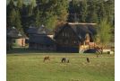 Khotso Lodge & Horse Trails Farm stay, Underberg - thumb 10