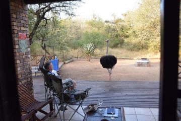 Khumbula iAfrica 2 Villa, Marloth Park - 1