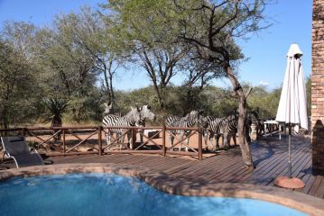Khumbula iAfrica 2 Villa, Marloth Park - 2