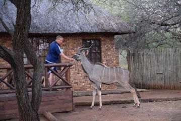 Khumbula iAfrica 1 Guest house, Marloth Park - 1