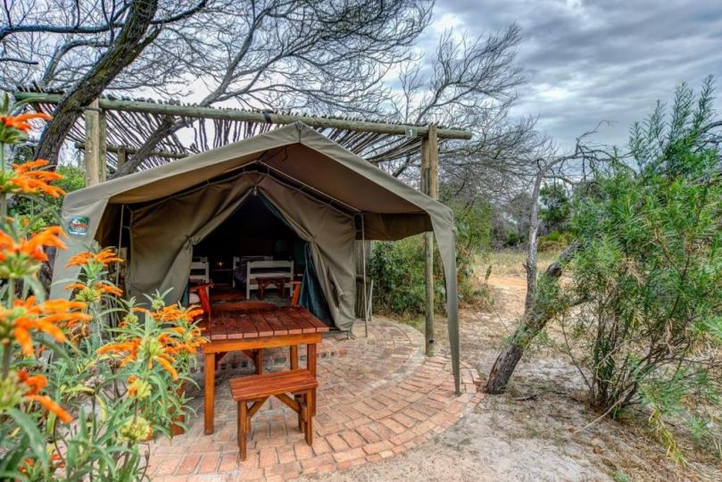 !Khwa ttu Bed and breakfast, Swartwater - imaginea 7