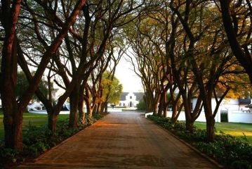 Kievits Kroon Gauteng Wine Estate Hotel, Pretoria - 2