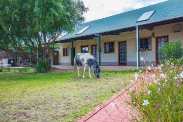 Kingfisher Hollow Hotel, Gordonʼs Bay - 3