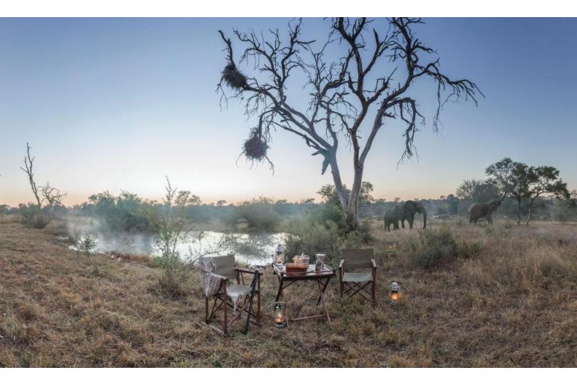 Kings Camp Hotel, Timbavati Game Reserve - imaginea 15