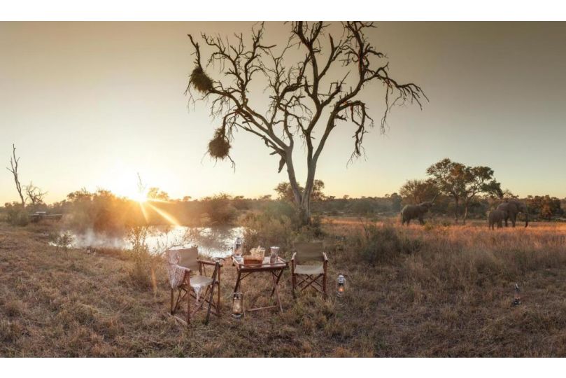 Kings Camp Hotel, Timbavati Game Reserve - imaginea 5