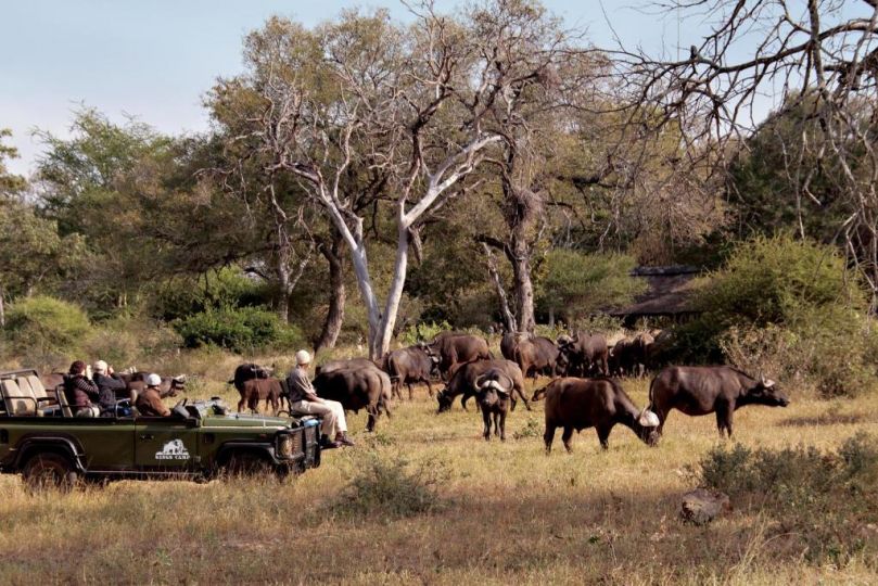 Kings Camp Hotel, Timbavati Game Reserve - imaginea 17