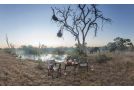 Kings Camp Hotel, Timbavati Game Reserve - thumb 15