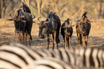 Kiyala Guest Farm Guest house, Nelspruit - 4