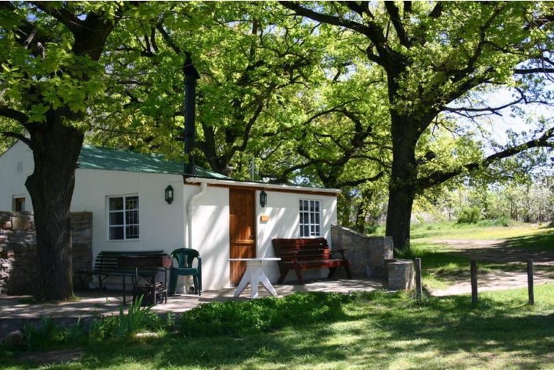 Klondyke Cherry Farm Farm stay, Matjiesrivier - imaginea 7