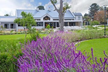 Knysna Hollow Country Estate Hotel, Knysna - 5