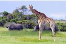 Kragga Kamma Game Park Hotel, Port Elizabeth - thumb 2